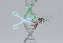 Генетическое редактирование CRISPR: Как ученые научились "вырезать" болезни из ДНК