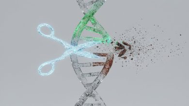 Генетичне редагування CRISPR: Як вчені навчилися "вирізати" хвороби з ДНК