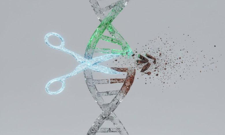 Генетическое редактирование CRISPR: Как ученые научились "вырезать" болезни из ДНК