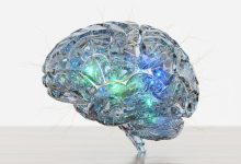 Нейропластичность мозга: Как мы учимся и почему мозг может "ремонтировать" сам себя